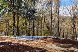 1026 Charter Hills (Plus Tract 2) Rd, Beech Mountain, NC 28604 - Photo 1