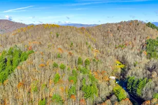 1451 Elliott Rd, West Jefferson, NC 28694 - Photo 27
