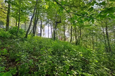 Lot 39 Skycamp Trail, Banner Elk, NC 28604 - Photo 15