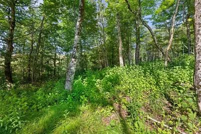 Lot 39 Skycamp Trail, Banner Elk, NC 28604 - Photo 3