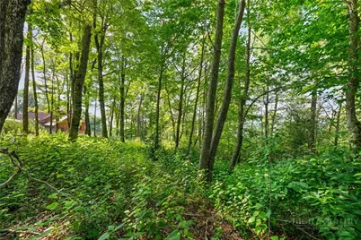 Lot 39 Skycamp Trail, Banner Elk, NC 28604 - Photo 11