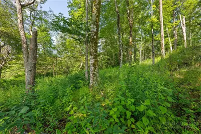 Lot 39 Skycamp Trail, Banner Elk, NC 28604 - Photo 17