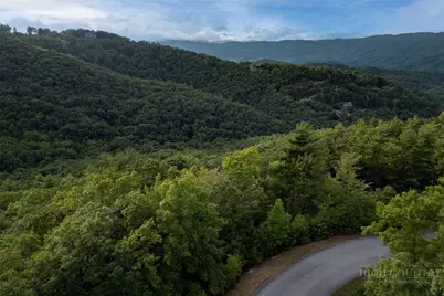 352 Pepperroot Road, Boone, NC 28607 - Photo 3