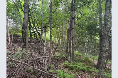 Tbd Wildcat Estates Drive, Deep Gap, NC 28618 - Photo 27
