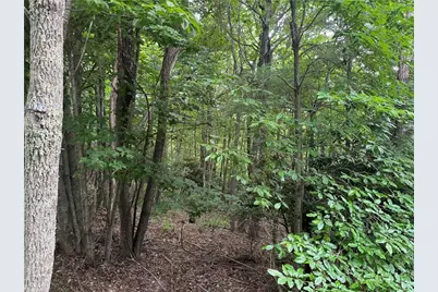 Tbd Wildcat Estates Drive, Deep Gap, NC 28618 - Photo 21