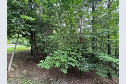 Tbd Wildcat Estates Drive, Deep Gap, NC 28618 - Photo 25