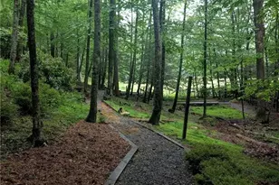 263 Cobble Creek Ln, Boone, NC 28607 - Photo 15