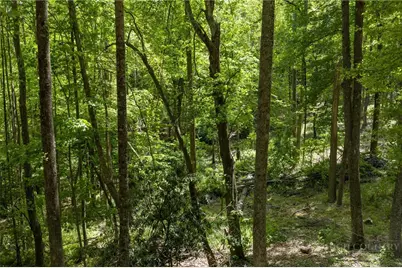 24 Wilderness Reserve Parkway, Deep Gap, NC 28618 - Photo 13