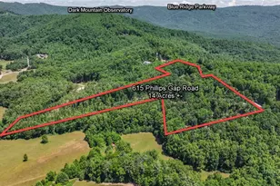 615 Phillips Gap, Purlear, NC 28665 - Photo 3
