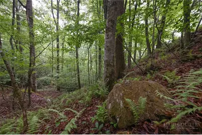 Tbd Taylor Hughes Lane, Newland, NC 28657 - Photo 3
