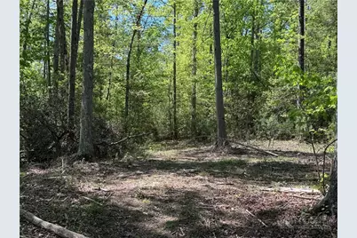 4229 Grandin Road, Lenoir, NC 28645 - Photo 33