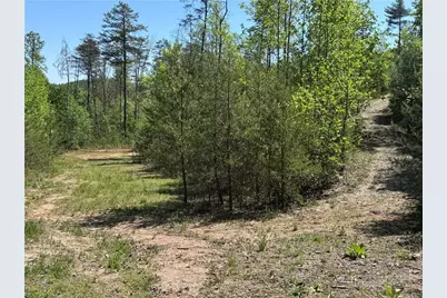 4229 Grandin Road, Lenoir, NC 28645 - Photo 25