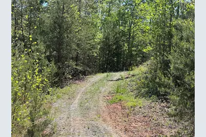 4229 Grandin Road, Lenoir, NC 28645 - Photo 27