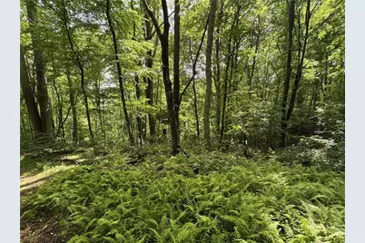 Tbd Man O War S, Vilas, NC 28692 - Photo 1