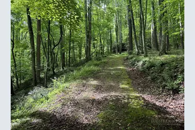 Lot 62 Man O War S, Vilas, NC 28692 - Photo 3