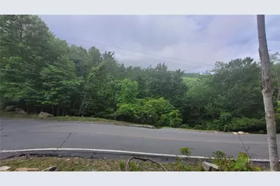 425 Pinnacle Ridge Road, Beech Mountain, NC 28604 - Photo 13