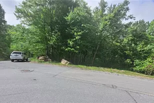425 Pinnacle Ridge Rd, Beech Mountain, NC 28604 - Photo 1