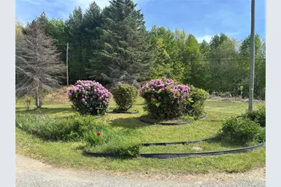397 US Hwy 221 South Highway, Sparta, NC 28675 - Photo 3
