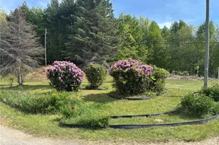 397 US Hwy 221 South Hwy, Sparta, NC 28675 - Photo 3