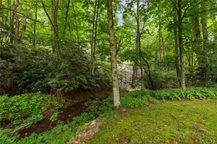 165 Acadiana Ln, Vilas, NC 28692 - Photo 31