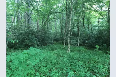 Lot #3 Trillium Lane, Linville, NC 28604 - Photo 3
