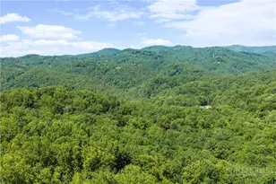 467 E Horse Shoe Ridge Rd, Deep Gap, NC 28618 - Photo 33
