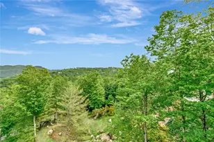 164 Ridgeline Dr, Sugar Mountain, NC 28604 - Photo 25