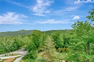 164 Ridgeline Dr, Sugar Mountain, NC 28604 - Photo 3