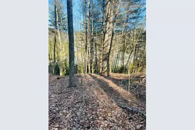 Tbd Skyview Lane, Banner Elk, NC 28607 - Photo 1
