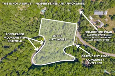 Lot 36 Daisy Ridge Road, Banner Elk, NC 28604 - Photo 3