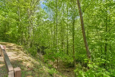 Lot 36 Daisy Ridge Road, Banner Elk, NC 28604 - Photo 23