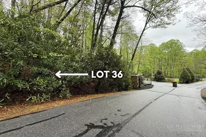 Lot 36 Daisy Ridge Road, Banner Elk, NC 28604 - Photo 7