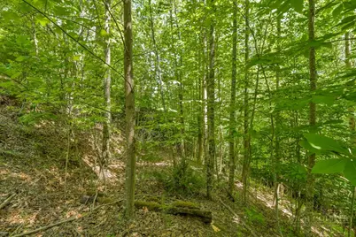 Lot 36 Daisy Ridge Road, Banner Elk, NC 28604 - Photo 17