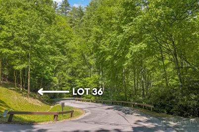 Lot 36 Daisy Ridge Road, Banner Elk, NC 28604 - Photo 11