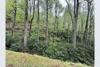 Lot 36 Daisy Ridge Road, Banner Elk, NC 28604 - Photo 15