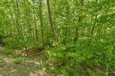 Lot 36 Daisy Ridge Road, Banner Elk, NC 28604 - Photo 19