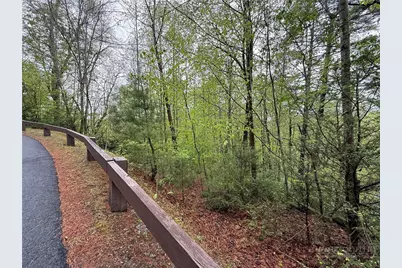 Lot 36 Daisy Ridge Road, Banner Elk, NC 28604 - Photo 25