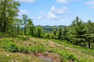 Lot 26 Silver Fox Ln, Banner Elk, NC 28604 - Photo 1