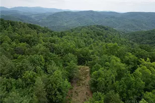 22 Elk Ridge Rd, Ferguson, NC 28624 - Photo 1