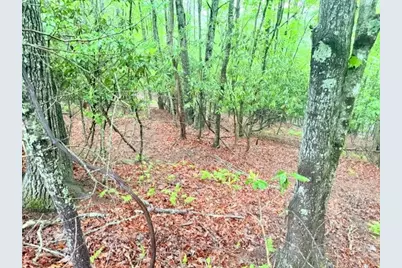 Lot 61 Sams Drive And/Or James Street, Fleetwood, NC 28626 - Photo 5