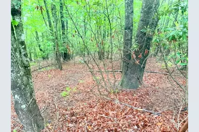 Lot 61 Sams Drive And/Or James Street, Fleetwood, NC 28626 - Photo 3