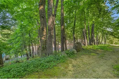 Tbd Spruce Street, West Jefferson, NC 28694 - Photo 13