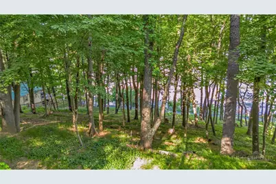 Tbd Spruce Street, West Jefferson, NC 28694 - Photo 9