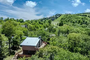 125 Skiway Cir, Beech Mountain, NC 28604 - Photo 43