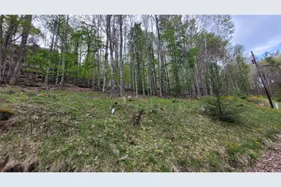 241 Lakeledge Road, Beech Mountain, NC 28604 - Photo 21