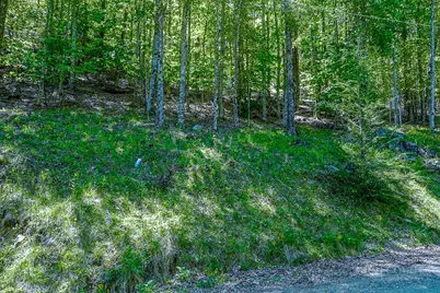 241 Lakeledge Road, Beech Mountain, NC 28604 - Photo 3