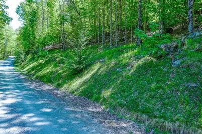 241 Lakeledge Road, Beech Mountain, NC 28604 - Photo 9