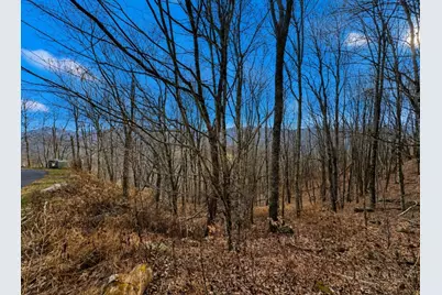 Tbd Wakeman Way, Banner Elk, NC 28604 - Photo 5