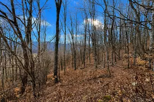 Tbd Wakeman Way, Banner Elk, NC 28604 - Photo 1