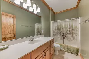 386 Billy Goat Blf, Elk Park, NC 28622 - Photo 31